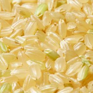 玄米に緑色のお米が…。でも心配はいりません。青米と呼ばれる美味しさの目安です！アイキャッチ画像