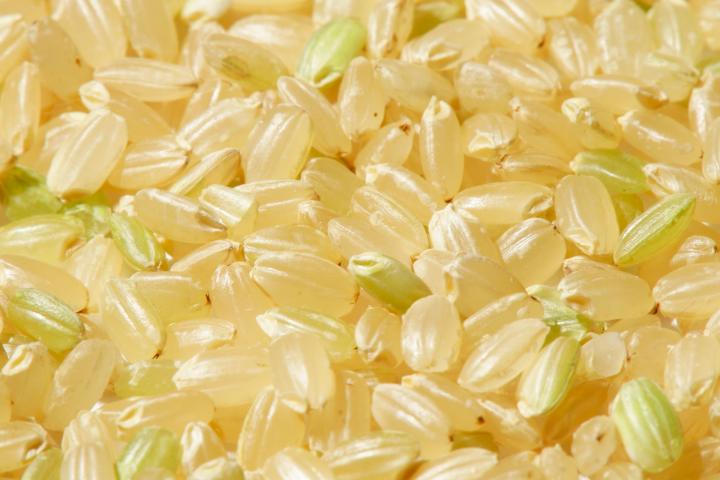 「にこまる/玄米」商品写真 3
