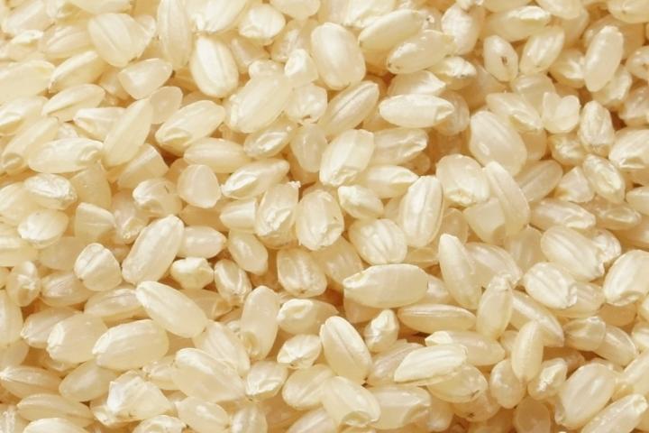 「コシヒカリ/玄米」商品写真 2