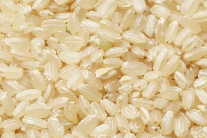 「にこまる/玄米」商品写真 2